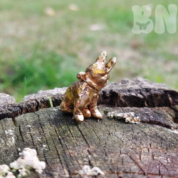 Precíziós öntéssel készült francia bulldog kutya figura.